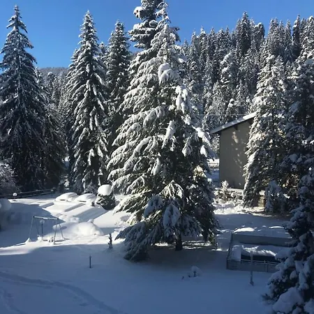 Rancho Laax